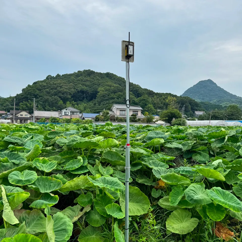 設置写真